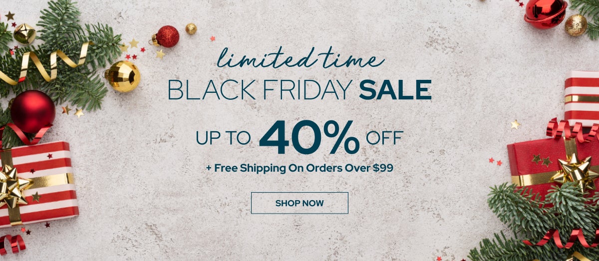 Black Friday Sale