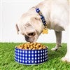 Product Thumbnail Small/Medium Bowl with Pet