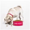 Product Thumbnail Small/Medium Bowl with Pet