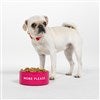 Product Thumbnail Small/Medium Bowl with Pet