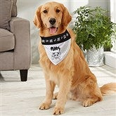 Large Dog Bandana