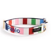 Adventure Stripe Collar - M/L