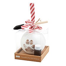 DIY Paw Print Ornament Kit - 52711