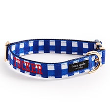 Engraved Kate Spade Blue Gingham Collar - Medium/Large - 54172