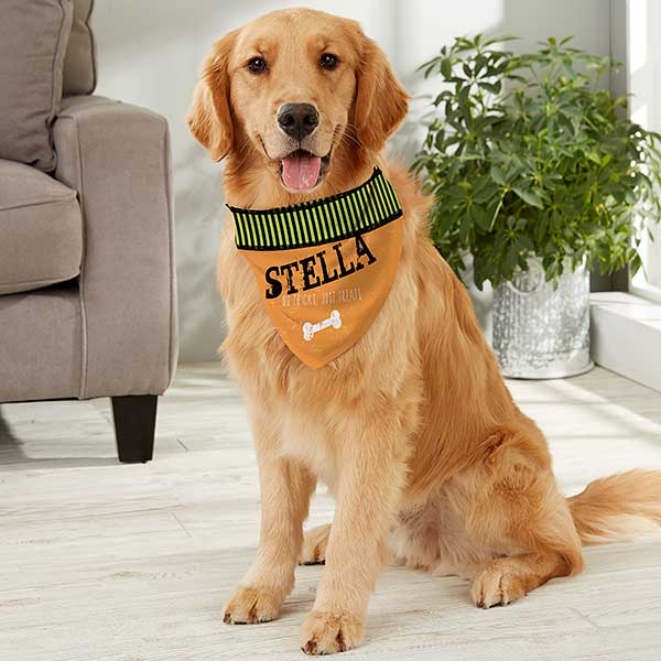 Personalized Dog Bandanas - Happy Halloween - 13461