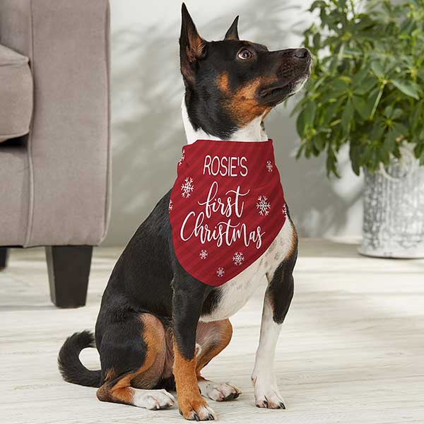 Dog xmas outlet bandana