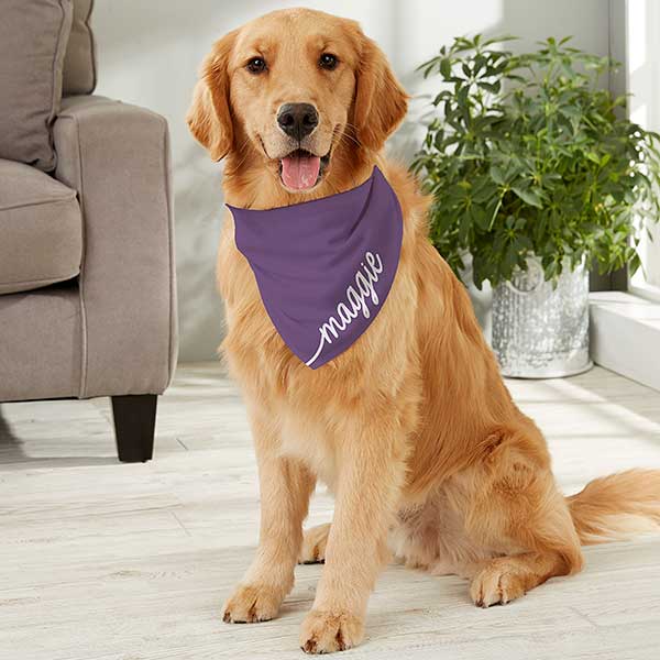 Dog bandana on sale with name