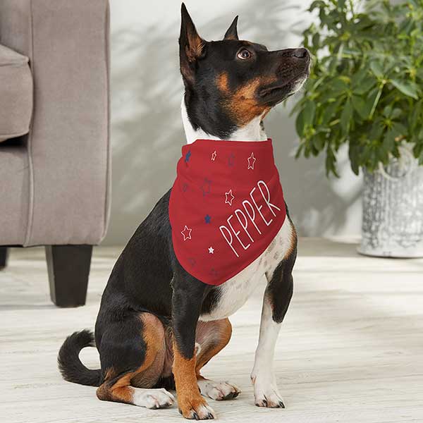 Cheap dog bandanas for shop sale