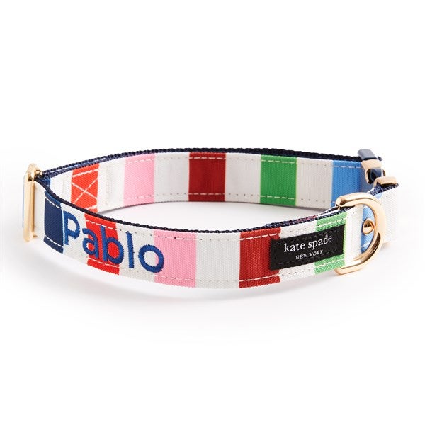 Engraved Kate Spade Adventure Stripe Collar - Medium/Large - 54173